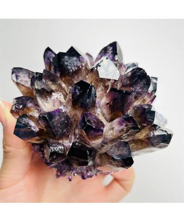Natural Crystal Rough 1Pcs Natural Purple Ghost Phantom Quartz Crystal Cluster Rock Stones and Crystals Specimen Home Deco PEIQIYIN - Buy Online on GoSupps.com