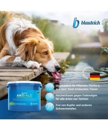 Blauteich Blaumacher Anti-Algae Thread Algae Destroyer - Effective Pond Care & Algae Remover for Garden Ponds (1 kg) - International Shipping Available - Buy Online on GoSupps.com