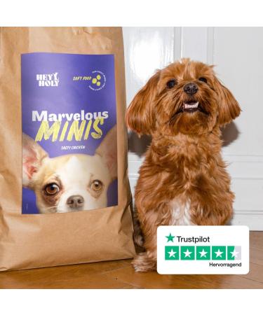 HEY HOLY Premium Wet Food for Mini - 18 x 400g Adult Dog Food - With Chicken - High Tolerance Based on Natural Ingredients - Buy Online on GoSupps.com