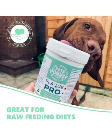 Pets Purest Plaque Off Powder - 185g | Natural Tartar & Plaque Remover for Dogs & Cats | Bad Breath & Gum Disease Prevention | Dental Care Formula - Buy Online on GoSupps.com