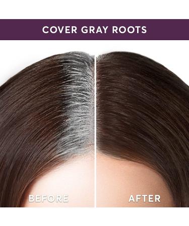 Madison Reed Root Touch Up Powder - Ombra Dark Brown - Buy Online on GoSupps.com