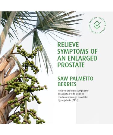 A.Vogel Organic Saw Palmetto Capsules for Prostate Health | Enlarged Prostate Symptoms Relief Frequent Urination Weak Urine Flow | Prostate Supplement for Men | 60Caps 60 count (Pack of 1) - Buy Online on GoSupps.com