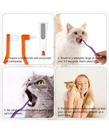 Double-Sided Cat Toothbrushes - 2 Pack Kitten Dental Care Brush with Microbe Head & Curved Handle - Purple & Orange - Buy Online on GoSupps.com