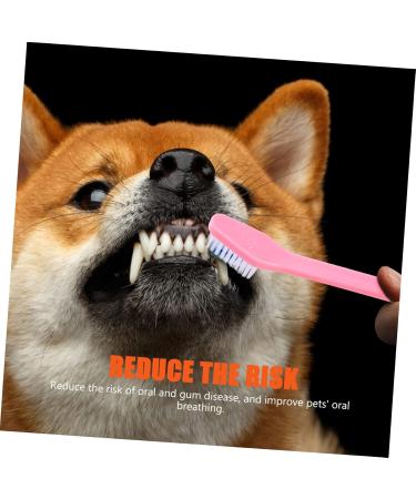 Angoily 20 pcs Brush Pet Portable Cat Teeth Puppy Nylon Small Tooth Handheld Dual-head for Oral Supplies 1 count (Pack of 1) Assorted Colorx2pcs - Buy Online on GoSupps.com