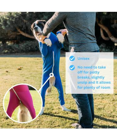 Shed Defender Body Suit for Dogs | Anti-Shedding Shirt & Recovery Jumpsuit | Reduce Dog Hair Anxiety Relief E-Collar & Hot Spots | Heather Gray Giant (59+ KG) - Buy Online on GoSupps.com