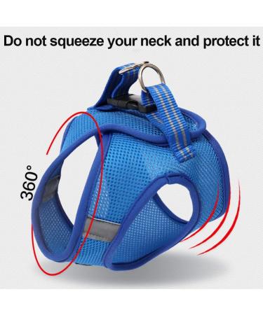 Buy Cat Dishes & Harness Set | Outdoor Leash & Bowls for Cats & Dogs - International Shipping - Buy Online on GoSupps.com