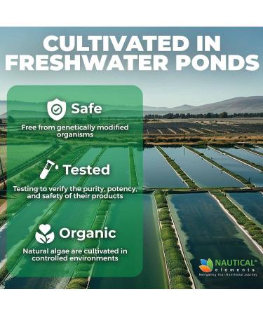 Spirulina Capsules 3000mg - 40 Servings Of Organic Spirulina Capsules - Rich in Protein Antioxidants & Vitamins - 240 Organic Espirulina Powder - Supports Immune & Cardiovascular Health 240 Count (Pack of 1) - Buy Online on GoSupps.com