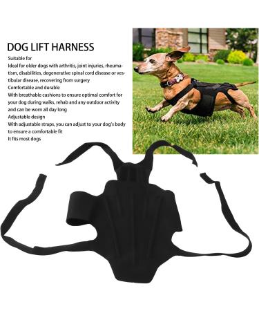 Dog Harness Breathable Full Body Support Adjustable Recovery Sling Comfortable Dog Back Support Vest Nylon for Disabled Dogs (M 120cm) - Buy Online on GoSupps.com
