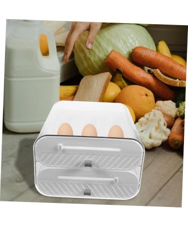 2-layer Egg Holder Storage Rack Organizer Large Egg Refrigerator Holder -layer Fridge re-usable - Buy Online on GoSupps.com