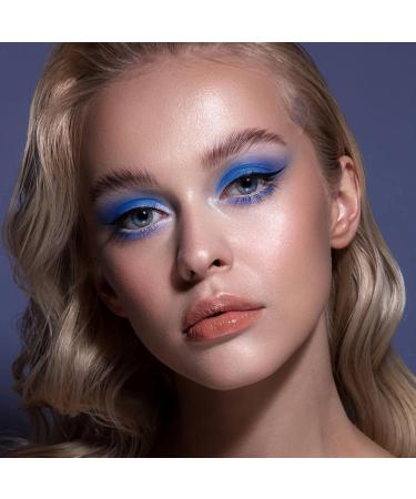 Erinde Dark Blue Eyeshadow Palette - Waterproof High Pigmented Nude & Marine Blue Matte Shades | Long-Lasting Eye Makeup - Buy Online on GoSupps.com
