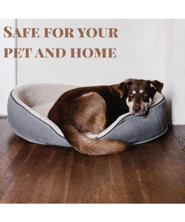 Stink Free Hardfloor Pet Stain & Odor Remover 32 FL. oz - Effortlessly Eliminate Pet Messes | International Shipping Available - Buy Online on GoSupps.com