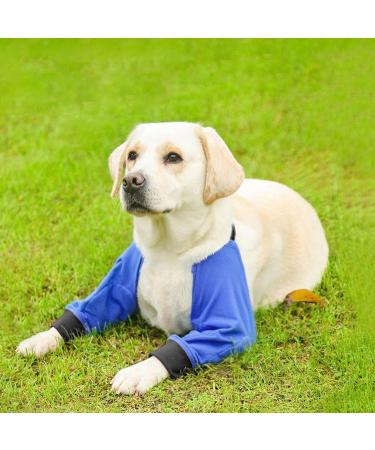 Dog Front Leg Brace 1 Pair Dog Joint Protective Cover Stain-Resistant Pet Recovery Knee Pad for Medium Dog Breathable Wear-Resistant Blue S - Buy Online on GoSupps.com