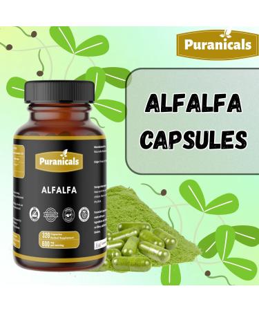 Puranicals Alfalfa Capsules - 320 Capsules | 100% Pure & Natural | Rich in Vitamins & Minerals | Supports Detox & Wellbeing | Non-GMO Gluten-Free Herbal Supplement | 600mg per Serving - Buy Online on GoSupps.com