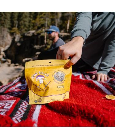 ODD BALLS Organic Energy Balls - Lemon Superfood Snack | Vegan Gluten Free | Perfect for Running Cycling & Hiking | Focus & Energy with Lion's Mane & Cordyceps - Buy Online on GoSupps.com