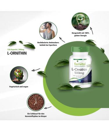 Fairvital L-Ornithine 500mg - High Dose Vegan Supplement - 120 Capsules | International Shipping Available - Buy Online on GoSupps.com