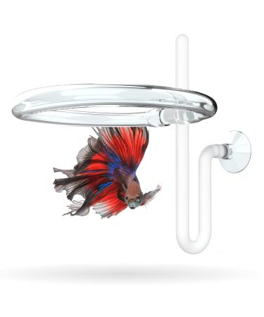 Invisible Feeding Ring (Customizable and Auto-Leveling) for Floating Plant Aquariums and Fish Tanks Standard 2.5" Feeding Ring - Buy Online on GoSupps.com