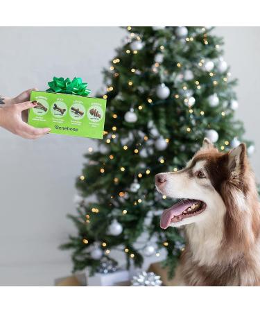 Benebone Durable Dog Chew Toy Box for Aggressive Chewers - Wishbone, Fishbone, Stick & Zaggler Medium - Buy Online on GoSupps.com