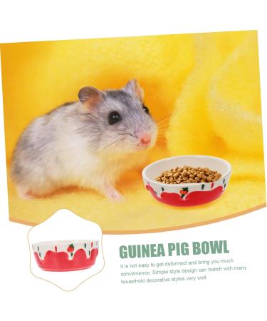 COLLBATH Hamster Food Bowl Rabbit Supplies Rabbit Feeder Bunny Water Bowl Hamster Water Bowl Ceramic Small Animal Dishes Pottery Pet Dish Guinea Pig Dish Guinea Pig Feeder Hamster Bowl Red - Buy Online on GoSupps.com