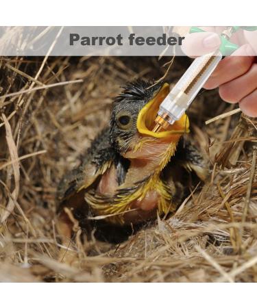 Baby Bird Feeding Kit 6PCS 20ML Baby Birds Feeding Syringe with Hose and Spoons Hand Feeding Device with Scale and Positioning Screw for Sick Bird - Buy Online on GoSupps.com
