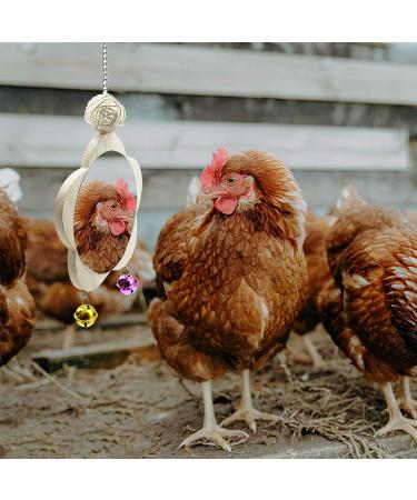 EBaokuup 3PCS Chicken Toys: Xylophone, Mirror, Bell & Foraging Shredder Toys - Best for Chicks, Hens, Parrots - Suspensible & Durable - Buy Online on GoSupps.com