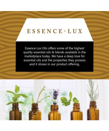 30ml Oils - Helichrysum Essential Oil - 1 Fluid Ounce Helichrysum 1 Fl Oz (Pack of 1) - Buy Online on GoSupps.com