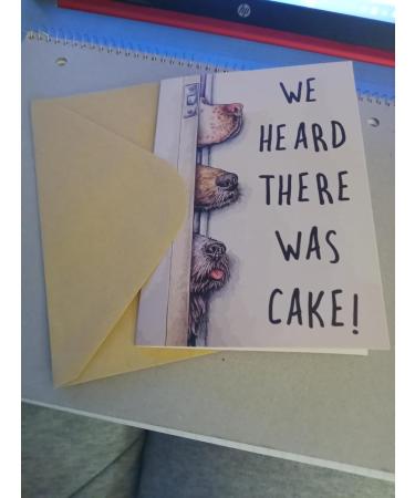 We Heard There Was Cake - Medium Size Gold | Premium International Shipping - Shop Now - Buy Online on GoSupps.com