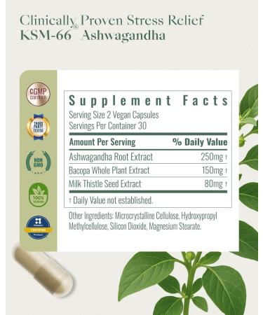 Upbe Ashwagandha Supplements for Women & Men - KSM-66 with Bacopa & Milk Thistle, 60 Vegan Capsules - Stress Relief, Mood, Cortisol Support, Extra Strength Ashwagandha Capsules - Buy Online on GoSupps.com