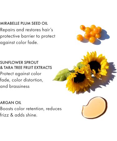 FEKKAI - Technician Color Shampoo - Professional Nourishing Shampoo for Colored Hair with Argan Oil for Color Protection and Shine Sulfate Free 250 ml - Buy Online on GoSupps.com