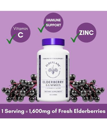 Elderlane Elderberry Kit - Formerly RD Naturals - Immune Support Supplement for Adults and Kids - 8.5oz Syrup 60ct Gummies 2oz Drops - Buy Online on GoSupps.com