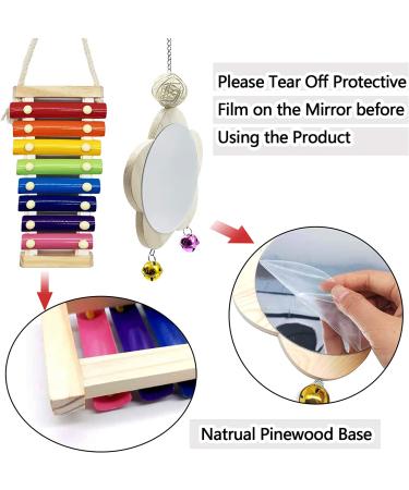 EBaokuup 3PCS Chicken Toys: Xylophone, Mirror, Bell & Foraging Shredder Toys - Best for Chicks, Hens, Parrots - Suspensible & Durable - Buy Online on GoSupps.com