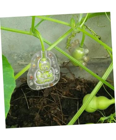 Toddmomy Vegetable Growing Mold 4pcs Fruit Mold Plastic 3D Accessories Cucumber Pumpkin Mold - Buy Online on GoSupps.com