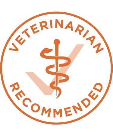 Purina ONE Dry Cat Food Chicken & Rice Formula - 1.59 kg Bag 1.59 kg (Pack of 1) Cat Food - Buy Online on GoSupps.com