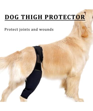 Dog Leg Brace Elbow Brace Protector Pads for Small Dogs and Cats Support Elbow Hygroma Shoulder Dysplasia Osteoarthritis Elbow Calluses and Shoulder Dislocation(L) Large - Buy Online on GoSupps.com