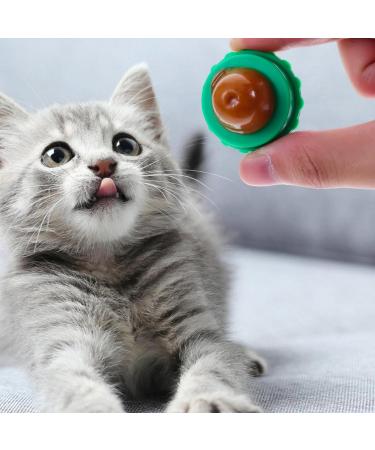 Lickable Cat Treats Catnip Ball- Cat Catnip Cat Catnip- Cat Snacks Candy Ball Pastable Energy Nutrition Licking Sweet Ball for Kitten Cat (8pcs) Cat Lick Snack - Buy Online on GoSupps.com