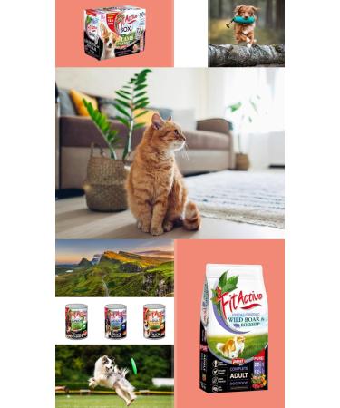 FitActive Originals - Puppy/Junior - Hypoallergenic food for puppies and young dogs up to 1 year - For all breeds of medium to large dogs (Normal 4000 grams) - Buy Online on GoSupps.com