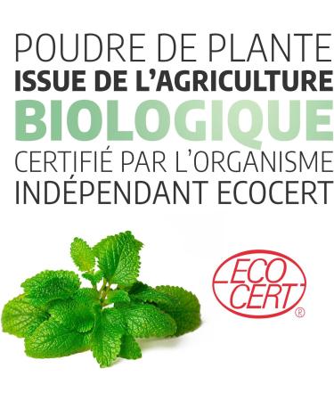 Lemon Balm 250 mg - 200 Capsules - Ecocert Certified - Buy Online on GoSupps.com