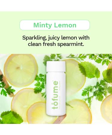 tofume Effervescent Bathroom Air Fresheners - Fresh Minty Lemon Fragrance - Toilet Deodorizer Tablets Air Fresheners For Bathroom Drop in Flushable Air Freshener Toilet Fresheners 1 Pack - Buy Online on GoSupps.com