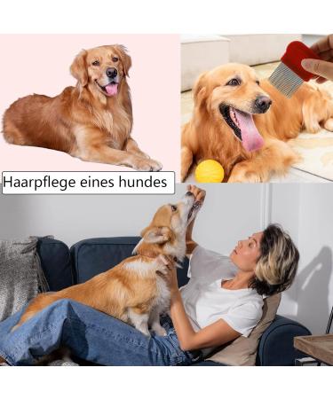 3-Piece Lice Comb Set for Cats & Dogs | Nissenkamm Scales Comb for Long Hair | Remove Lice & Dandruff | Green Red Blue - Buy Online on GoSupps.com