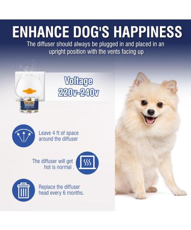 Dog Pheromones Anti Stress Calming Soothing Taking Pheromones to Soothe Relaxing Calming Agitated Stressed Reduces Anxiety Storm Fireworks 6 * 48ml Diffuser Refills Tasteless - Buy Online on GoSupps.com