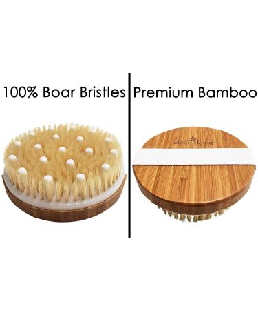 Natural Bristle Dry Brush Set for Exfoliating & Lymphatic Drainage | Anti-Cellulite Massager & Exfoliating Body Sponge | Includes Travel Bag - Buy Online on GoSupps.com