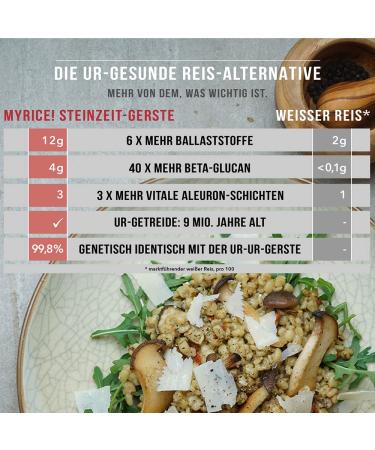 Myrice Risotto Curry - 225g | Ready Meal with Curry Spices Lentils & Extra Soluble Fiber | International Shipping - Buy Online on GoSupps.com