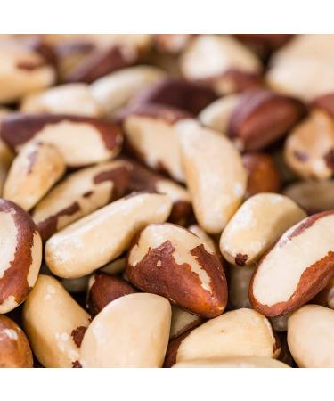 The Amish Eco-Farm Medium Brazil Nuts - Raw & Fresh 5lb Jar - Buy Online on GoSupps.com