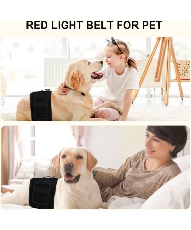 Red Light Lamp Belt Near Infrared Light with 105pcs 3 in 1 Chip Designed LEDs Portable for Home/Office/Trip with No Case - Buy Online on GoSupps.com