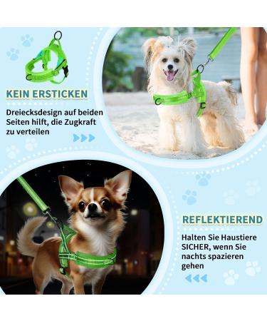 Eyein No-Pull Dog Harness with Leash - Soft Padded Reflective Adjustable for Puppies & Small to Large Dogs - Green (S) - Best for Pets & Cats - Buy Online on GoSupps.com