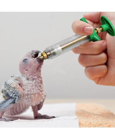 BioTat Syringe for Food | LOOFES HOLDEN Bird Feed Injector Kit - Easy Clean Hand Feed Set for Sick Birds | 20ml Edizin - Buy Online on GoSupps.com