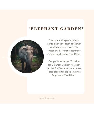  Tea of Dreams Bio Assam Golden Flowery Broken Orange Pekoe (GFBOP) Hathikuli Biotee | Elephant Garden | Tea of Dreams (250 g) - Buy Online on GoSupps.com