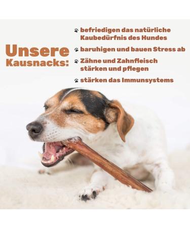 Lucze Dehydrated beef for dogs 2 kg - Buy Online on GoSupps.com