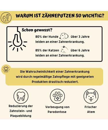 Pawsonly Silicone Finger Toothbrush Set for Dogs & Cats | Dental Care | 2 Pack with Storage Box | Blue & Pink Tooth Cleaning for Small Pets - Buy Online on GoSupps.com