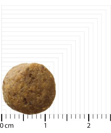 Bozita Dog Original Puppy & Junior XL 3 kg - Buy Online on GoSupps.com