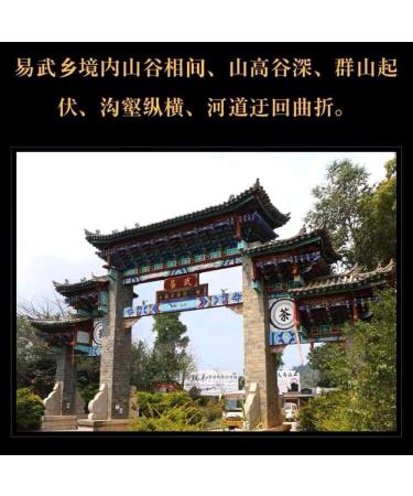 Pu-erh tea 2023 Yi Wu Ming Qian Chunjian 357g Raw - Buy Online on GoSupps.com